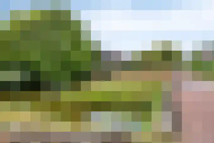 Riet Schoolenbergpad 24 Rotterdam thumbnail 30
