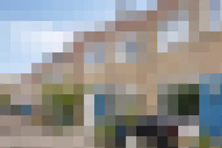 Riet Schoolenbergpad 24 Rotterdam thumbnail 4
