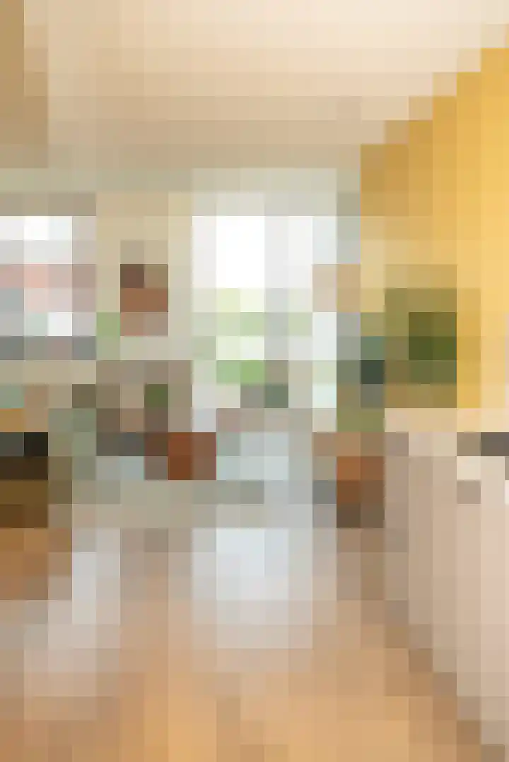 Riet van Alebeekstraat 3 Lent thumbnail 10