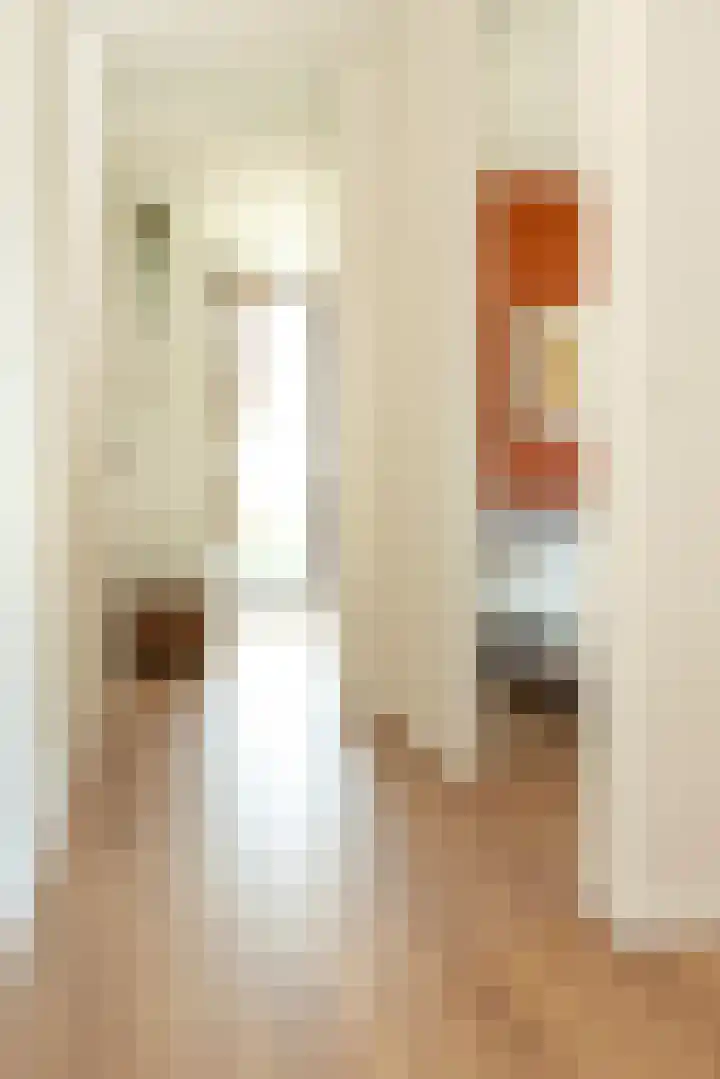 Riet van Alebeekstraat 3 Lent thumbnail 11