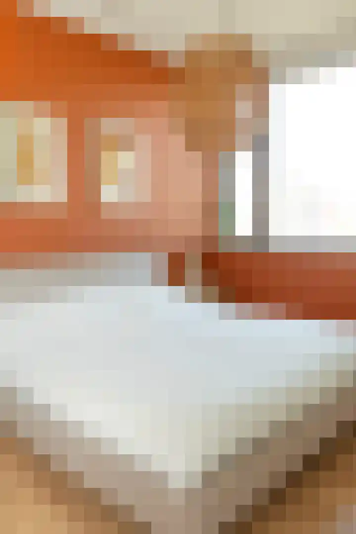 Riet van Alebeekstraat 3 Lent thumbnail 12