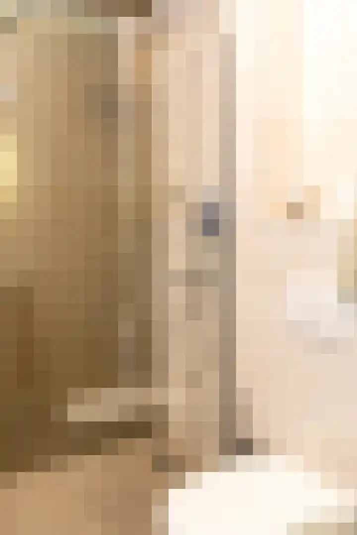 Riet van Alebeekstraat 3 Lent thumbnail 16