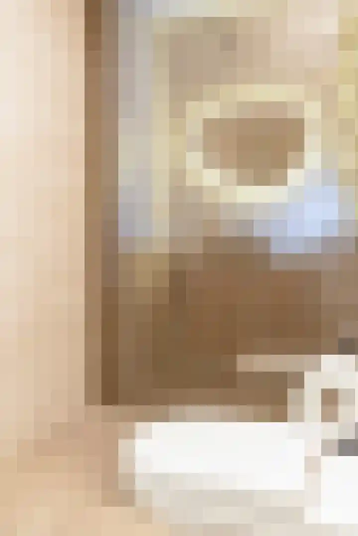 Riet van Alebeekstraat 3 Lent thumbnail 17