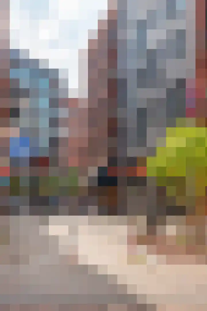 Riet van Alebeekstraat 3 Lent thumbnail 23