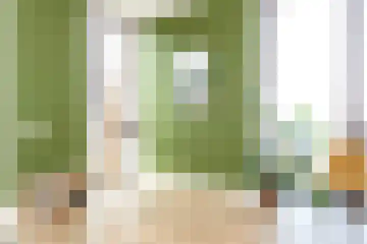 Riet van Alebeekstraat 3 Lent thumbnail 4