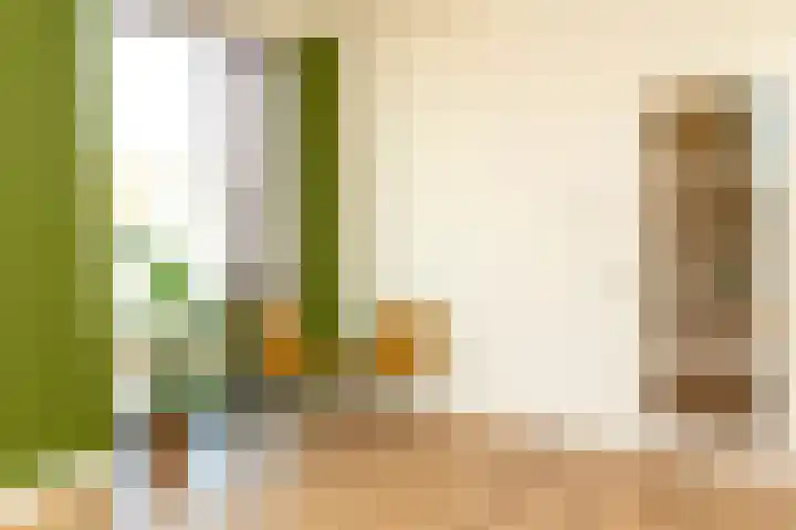 Riet van Alebeekstraat 3 Lent thumbnail 5