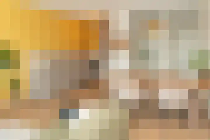 Riet van Alebeekstraat 3 Lent thumbnail 8