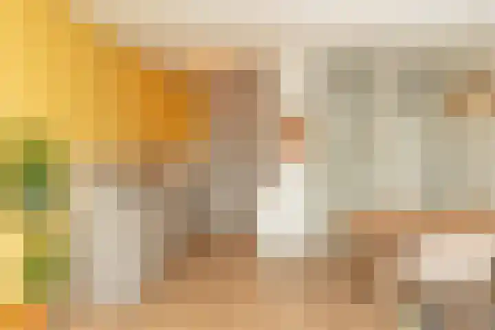 Riet van Alebeekstraat 3 Lent thumbnail 9