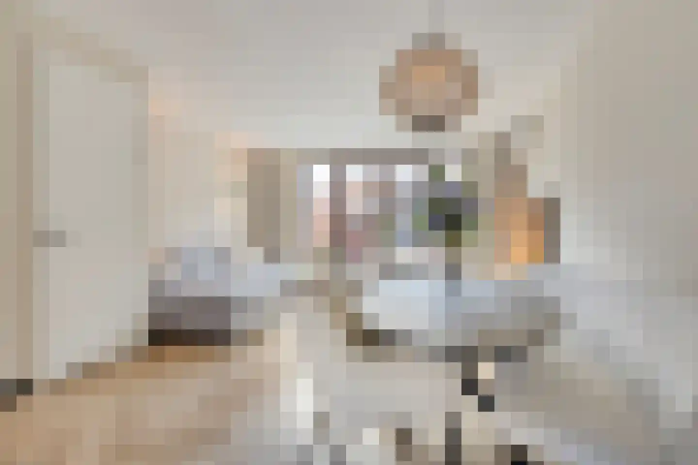 Riet van Alebeekstraat 43 Lent thumbnail 17