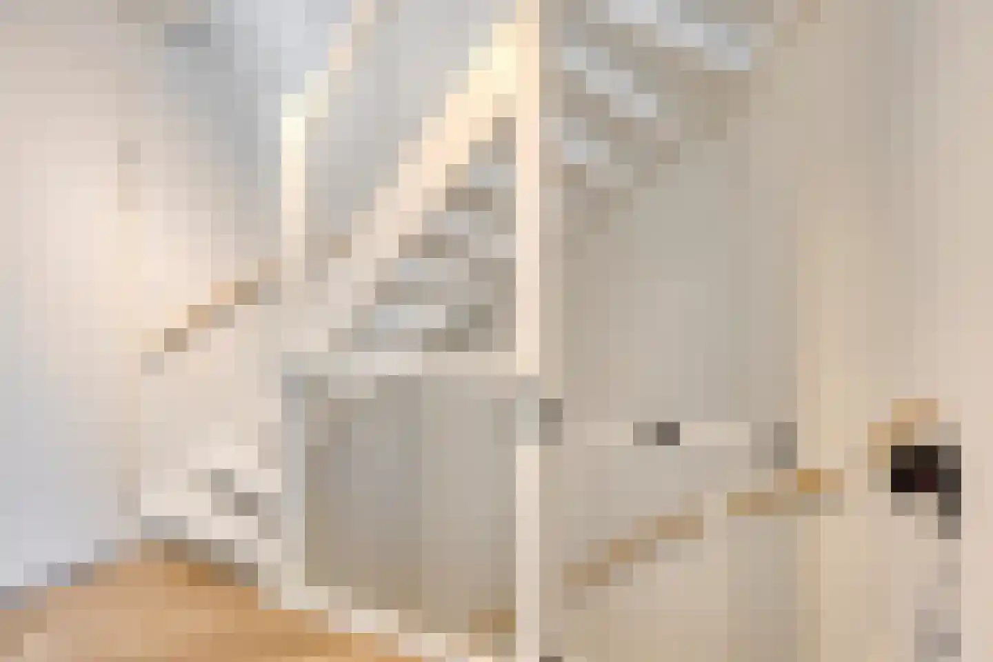 Riet van Alebeekstraat 43 Lent thumbnail 20