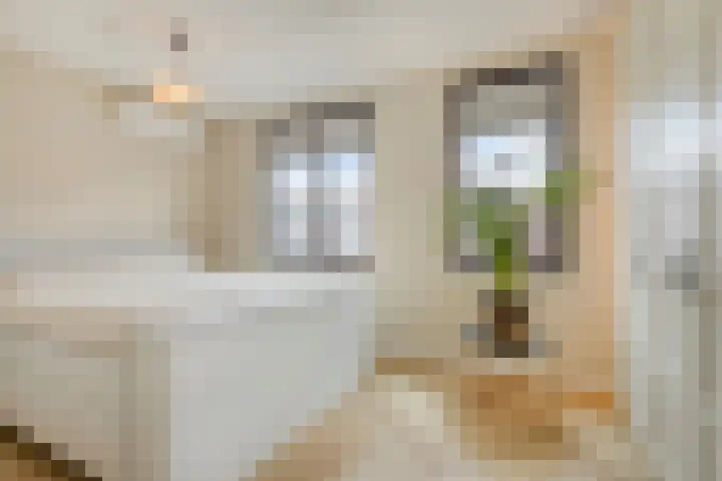 Riet van Alebeekstraat 43 Lent thumbnail 21
