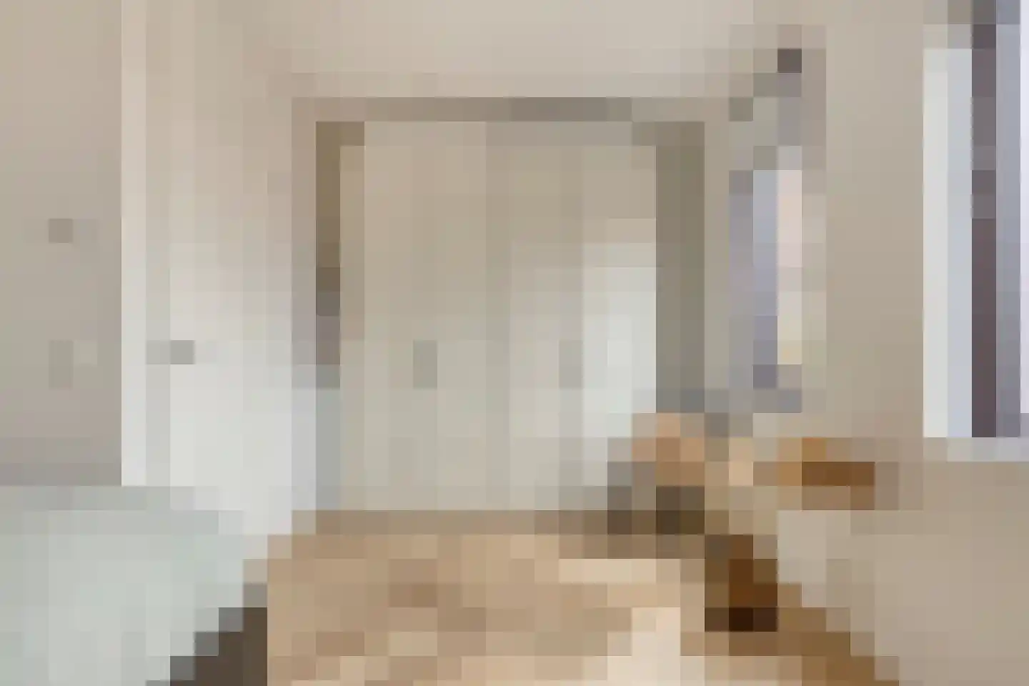 Riet van Alebeekstraat 43 Lent thumbnail 33
