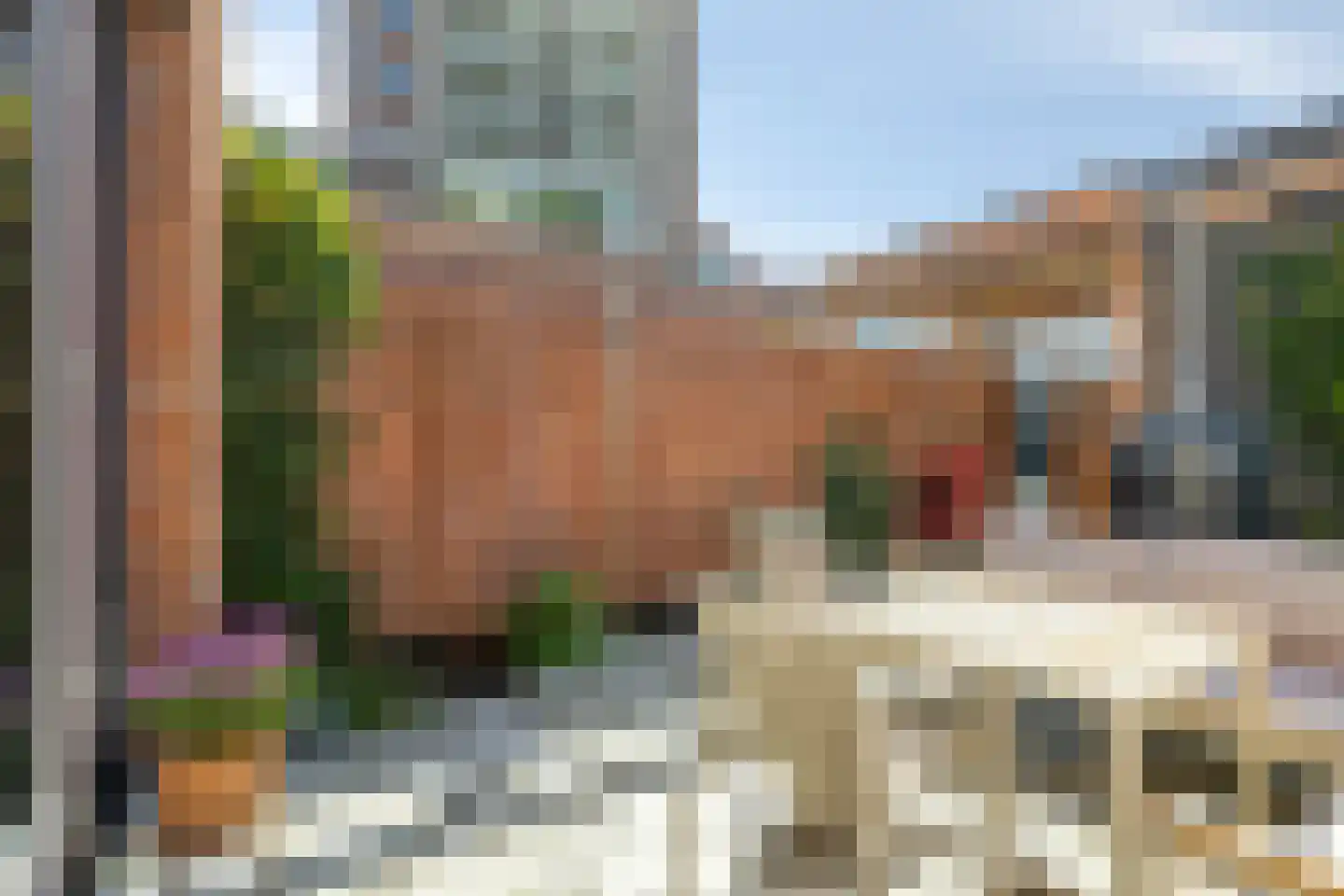 Riet van Alebeekstraat 43 Lent thumbnail 37