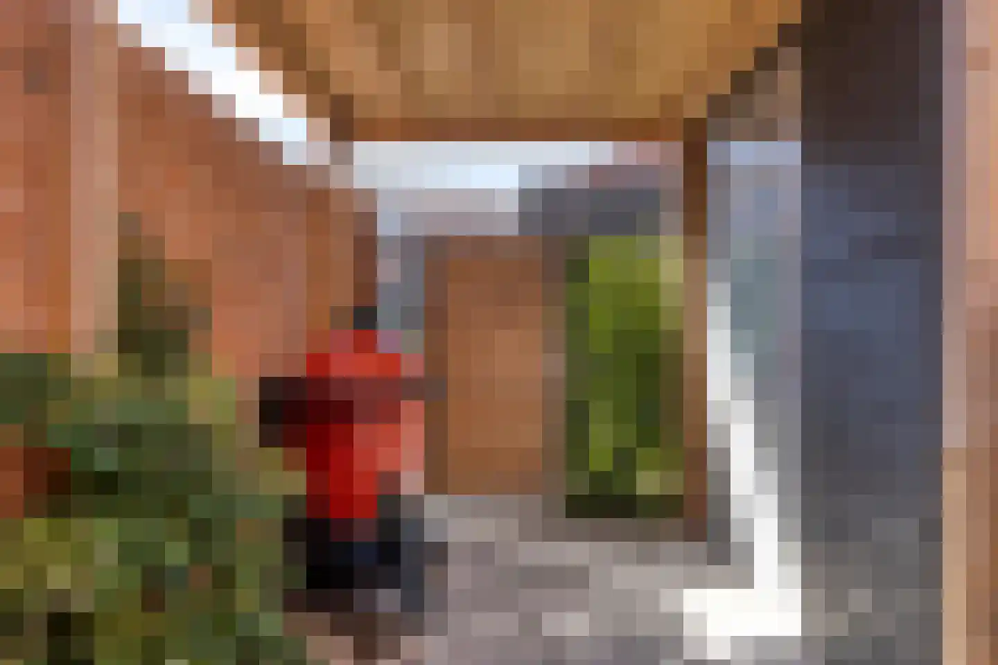 Riet van Alebeekstraat 43 Lent thumbnail 39