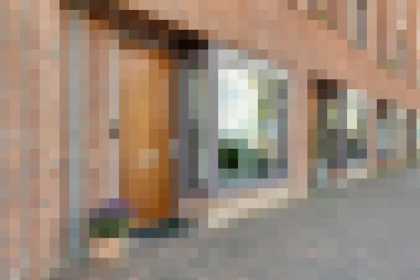Riet van Alebeekstraat 43 Lent thumbnail 4