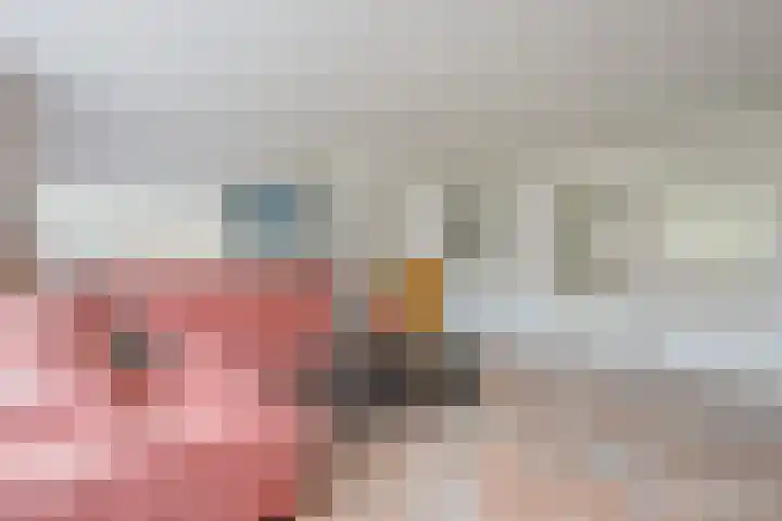Rietakker 15 Midwoud thumbnail 11
