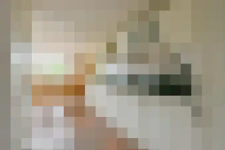Rietakker 15 Midwoud thumbnail 14