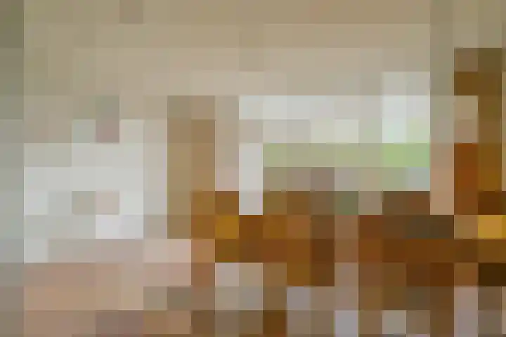 Rietakker 15 Midwoud thumbnail 16