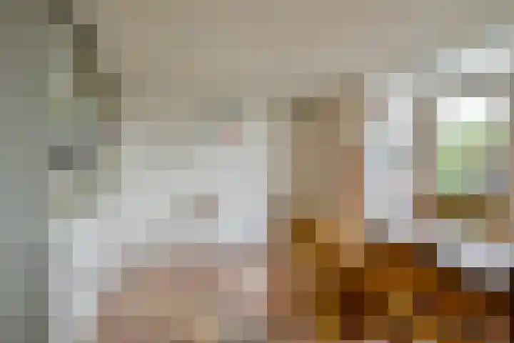 Rietakker 15 Midwoud thumbnail 17