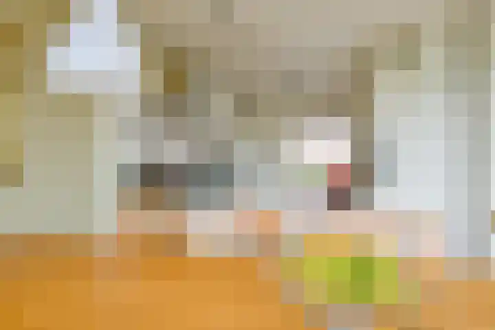 Rietakker 15 Midwoud thumbnail 18