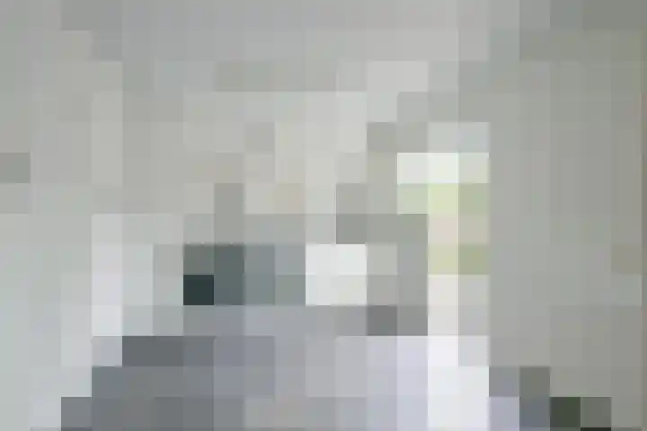 Rietakker 15 Midwoud thumbnail 21