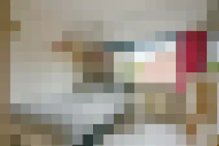 Rietakker 15 Midwoud thumbnail 25