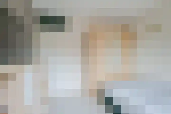 Rietakker 15 Midwoud thumbnail 26