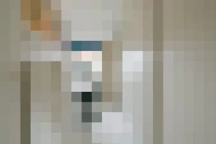 Rietakker 15 Midwoud thumbnail 27
