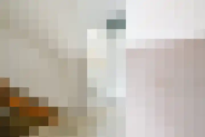 Rietakker 15 Midwoud thumbnail 30