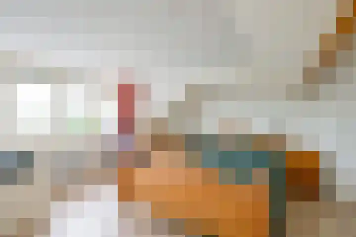 Rietakker 15 Midwoud thumbnail 31