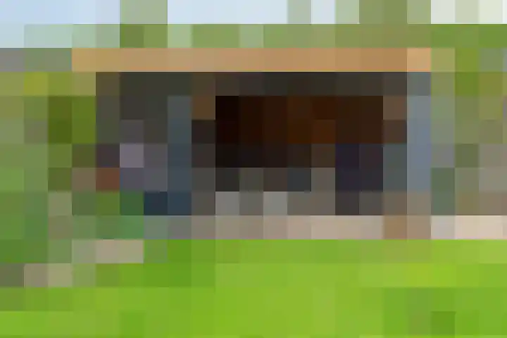Rietakker 15 Midwoud thumbnail 34
