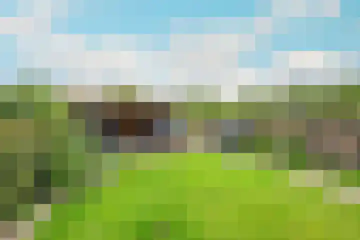 Rietakker 15 Midwoud thumbnail 35