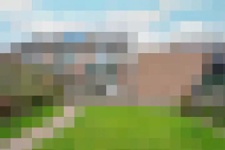 Rietakker 15 Midwoud thumbnail 36