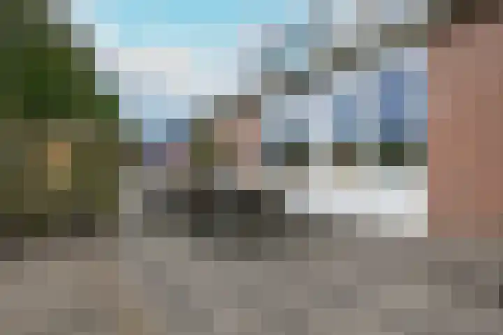 Rietakker 15 Midwoud thumbnail 37