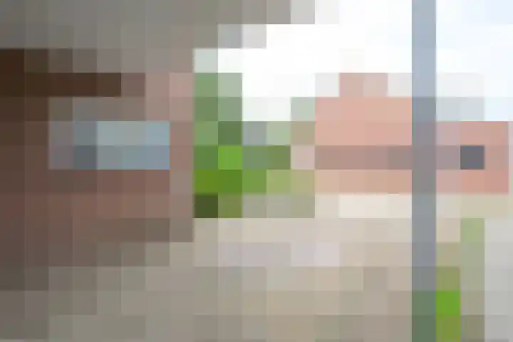 Rietakker 15 Midwoud thumbnail 39