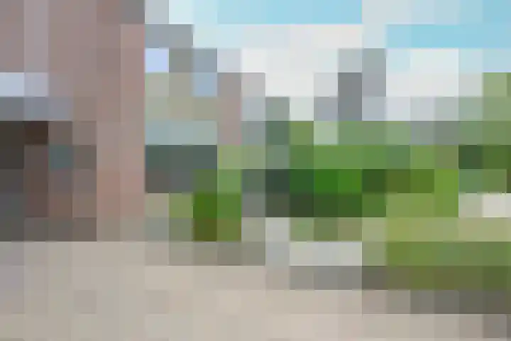 Rietakker 15 Midwoud thumbnail 40