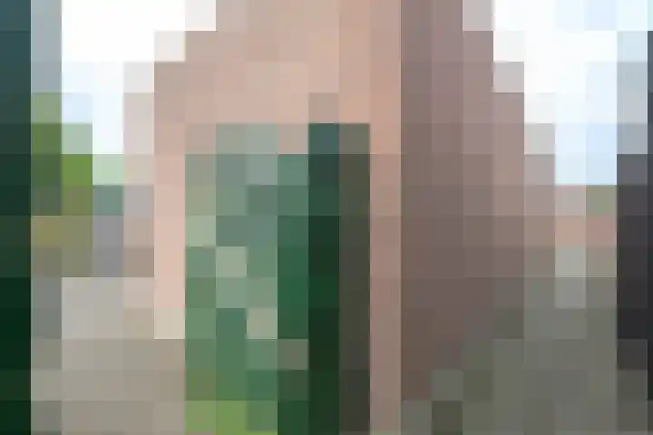 Rietakker 15 Midwoud thumbnail 41