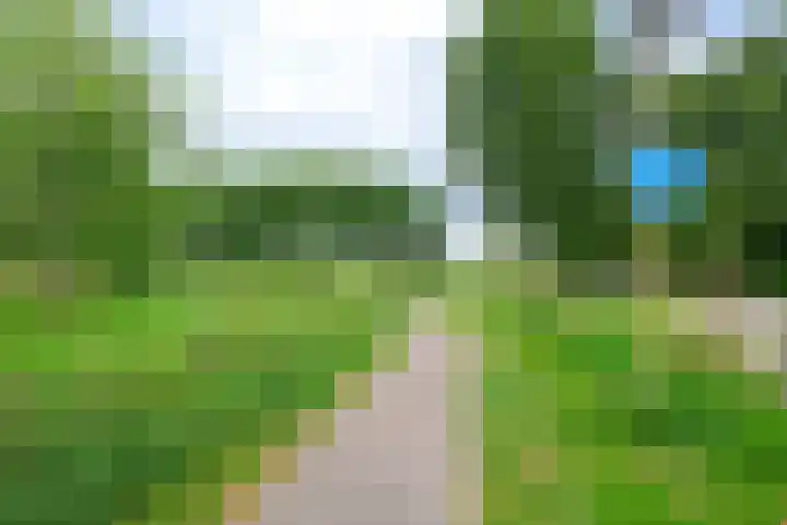 Rietakker 15 Midwoud thumbnail 43