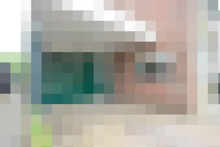 Rietakker 15 Midwoud thumbnail 6