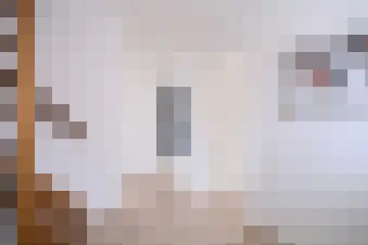 Rietakker 37 Bathmen thumbnail 16