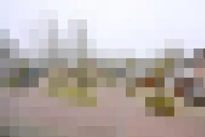 Rietakker 37 Bathmen thumbnail 18