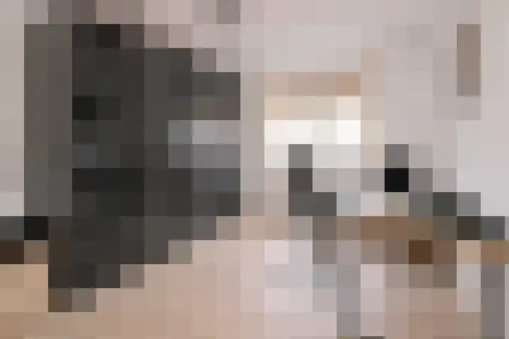 Rietakker 37 Bathmen thumbnail 20