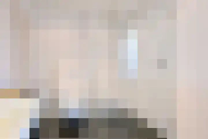 Rietakker 37 Bathmen thumbnail 25