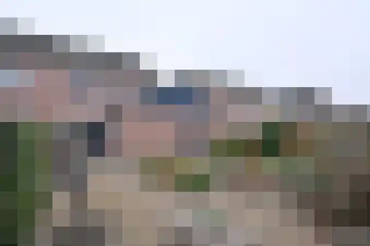Rietakker 37 Bathmen thumbnail 36