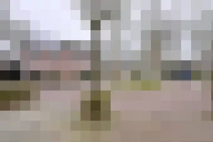 Rietakker 37 Bathmen thumbnail 39