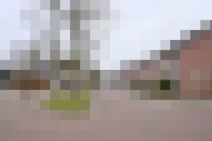 Rietakker 37 Bathmen thumbnail 41