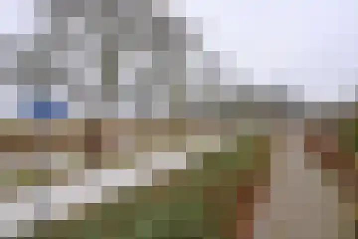 Rietakker 37 Bathmen thumbnail 42