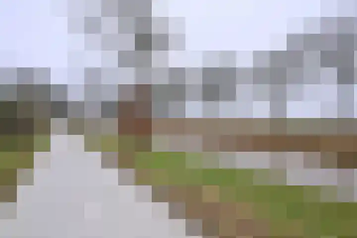 Rietakker 37 Bathmen thumbnail 43