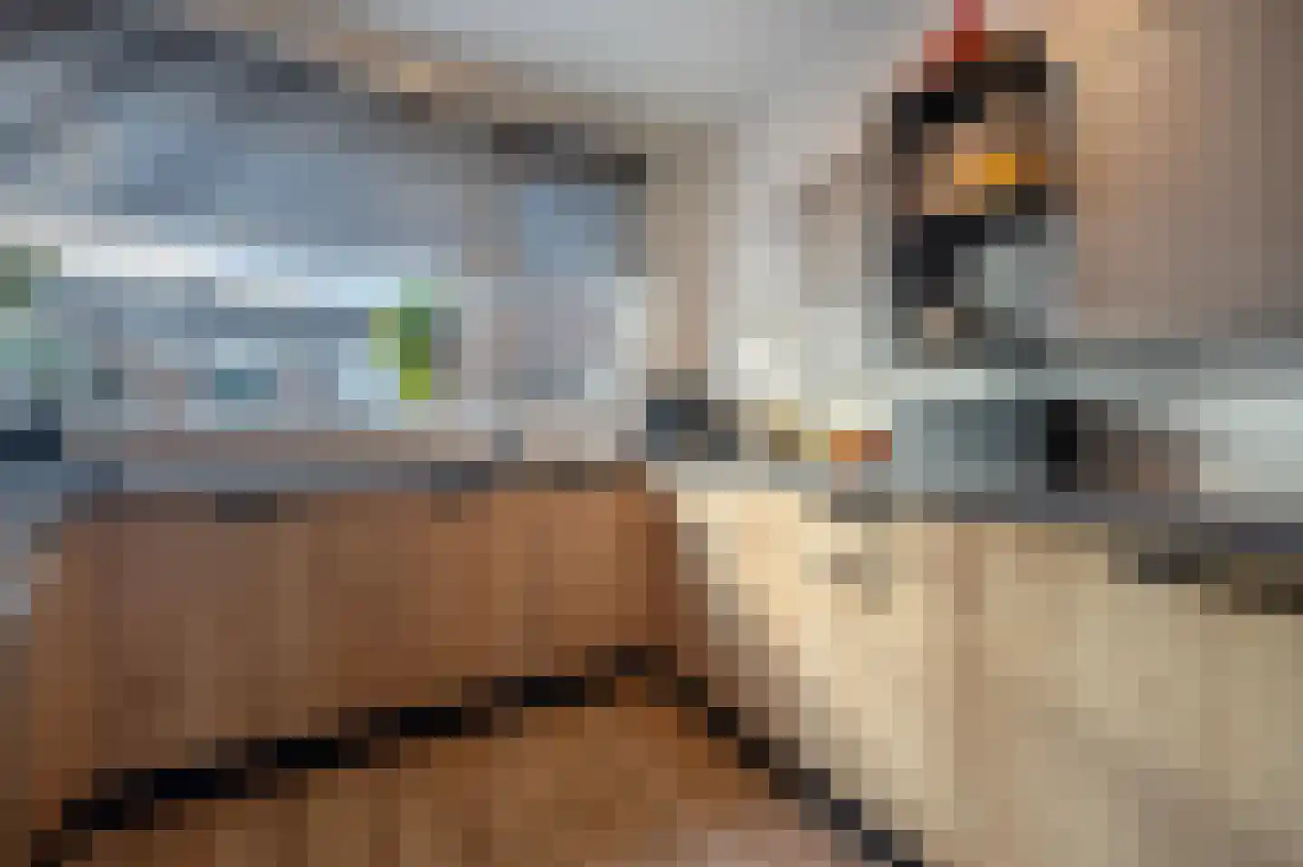 Rietakker 4 Koog aan de Zaan thumbnail 10