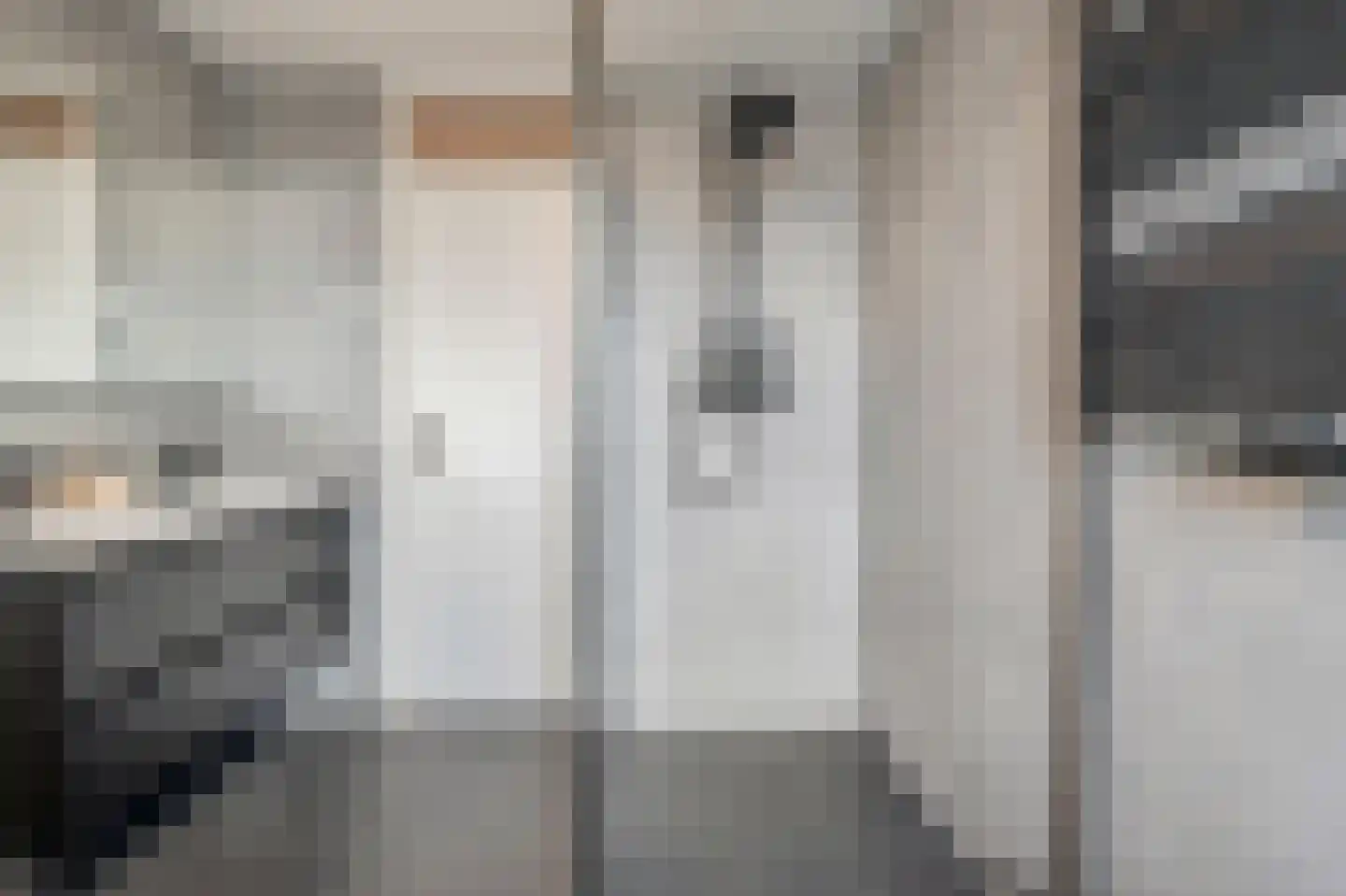 Rietakker 4 Koog aan de Zaan thumbnail 15